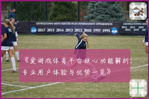 《爱游戏体育平台核心功能解析：专业用户体验与优势一览》