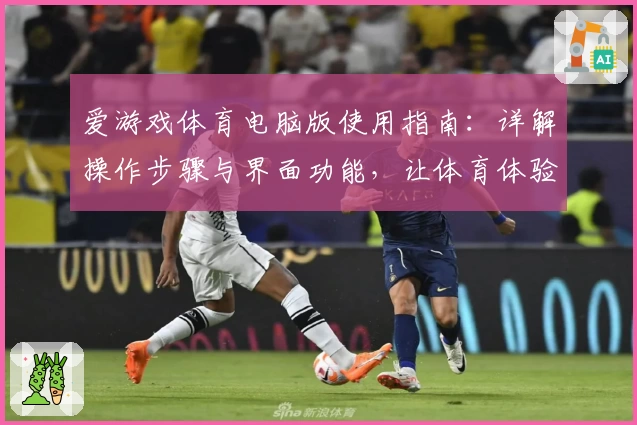 爱游戏体育电脑版使用指南：详解操作步骤与界面功能，让体育体验更便捷